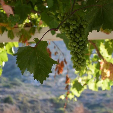 Hotel Koukos Agia Theodoti Zewnętrze zdjęcie